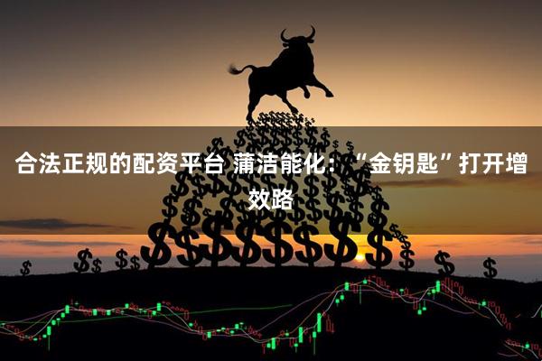 合法正规的配资平台 蒲洁能化：“金钥匙”打开增效路