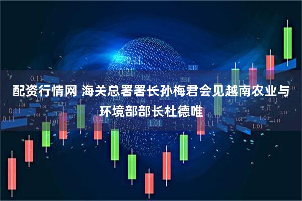 配资行情网 海关总署署长孙梅君会见越南农业与环境部部长杜德唯